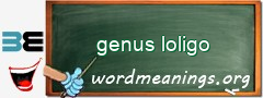 WordMeaning blackboard for genus loligo